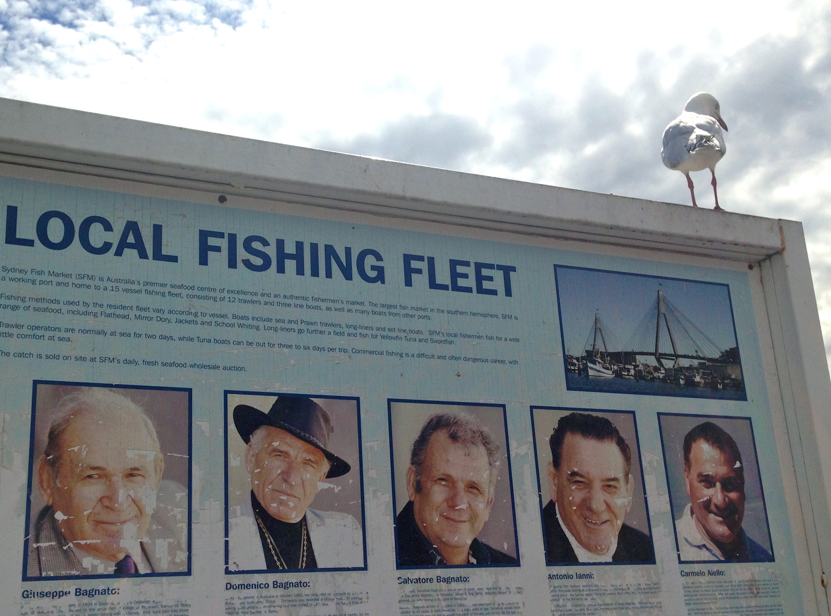 Fish markt