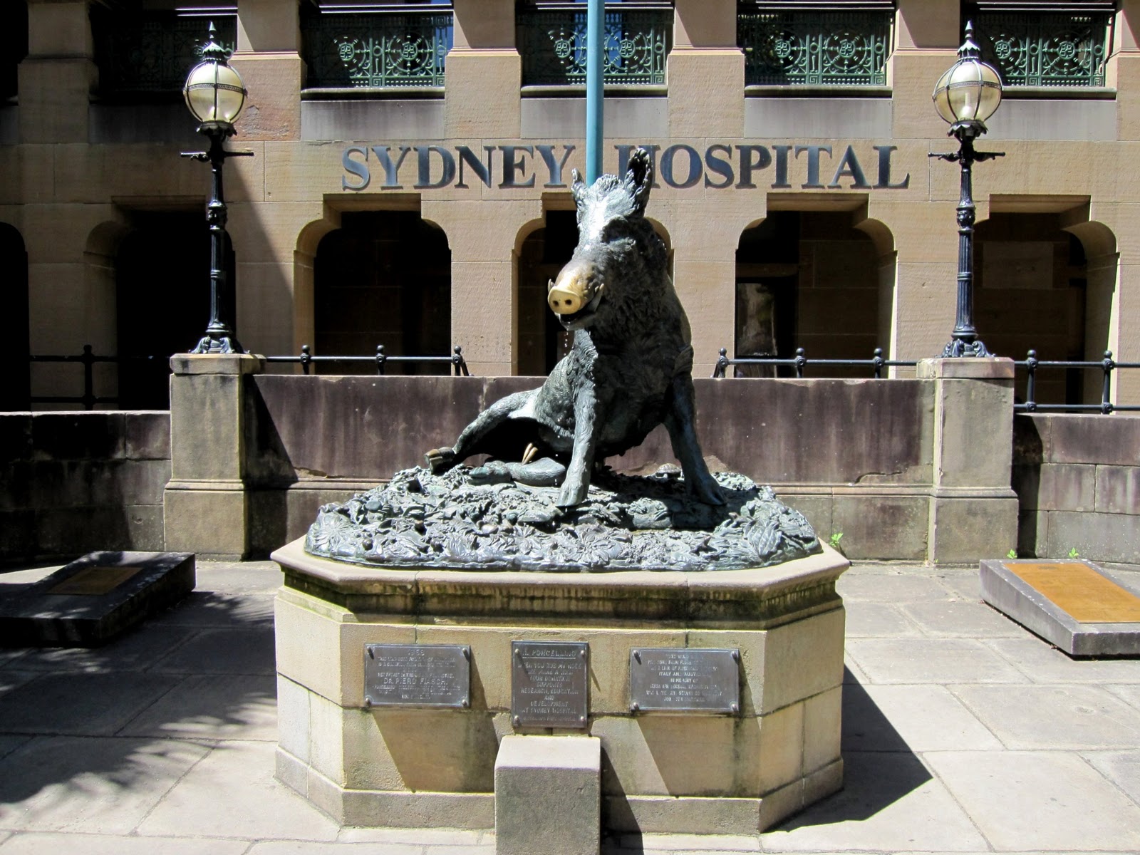 Sydney Hospital Il Porcellino