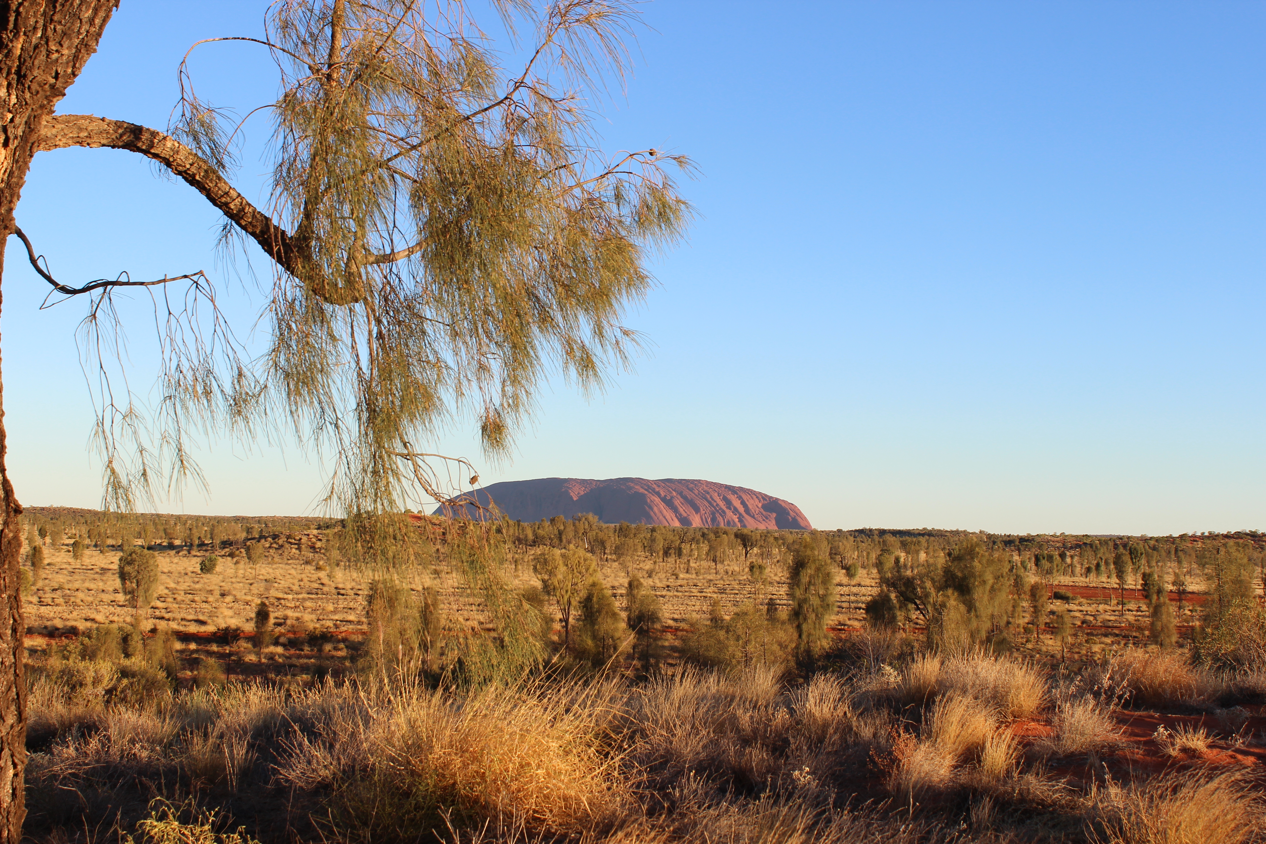 Uluru_reflex_Francesca (2) copia